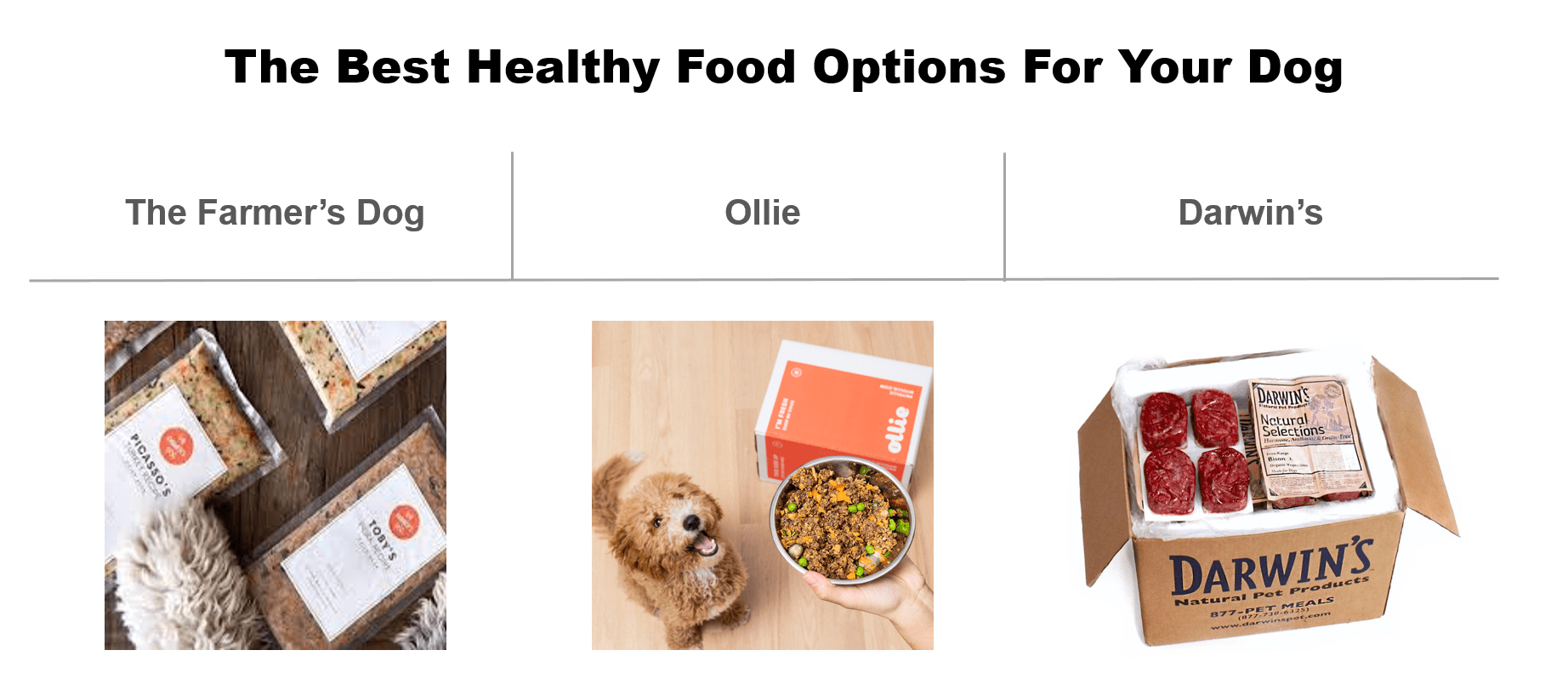 New Evidence Connects GrainFree Diets with Canine Heart Disease. Here