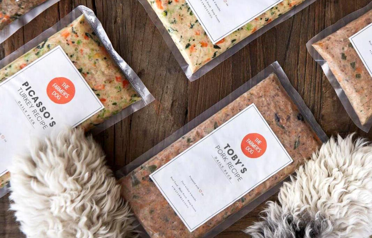 Reviewing the Best Dog Food Delivery Services Insider Envy