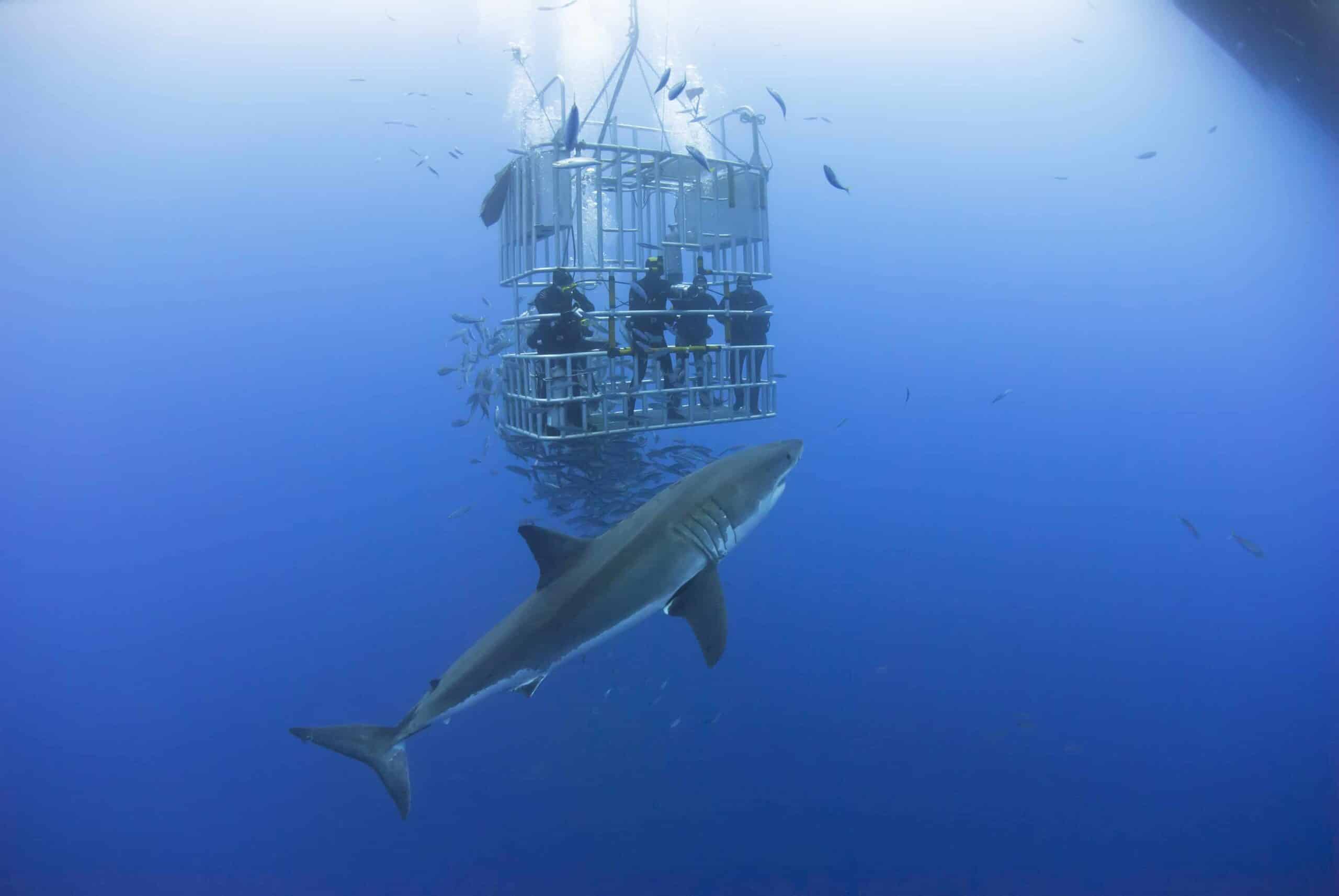 Aluminum Facts Interlock®