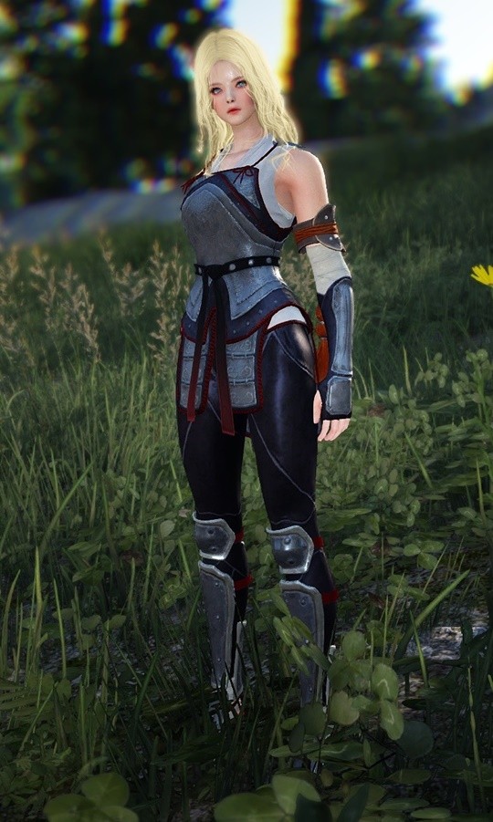 Korean Black Desert Online Players Comment on the Mystic Inven Global