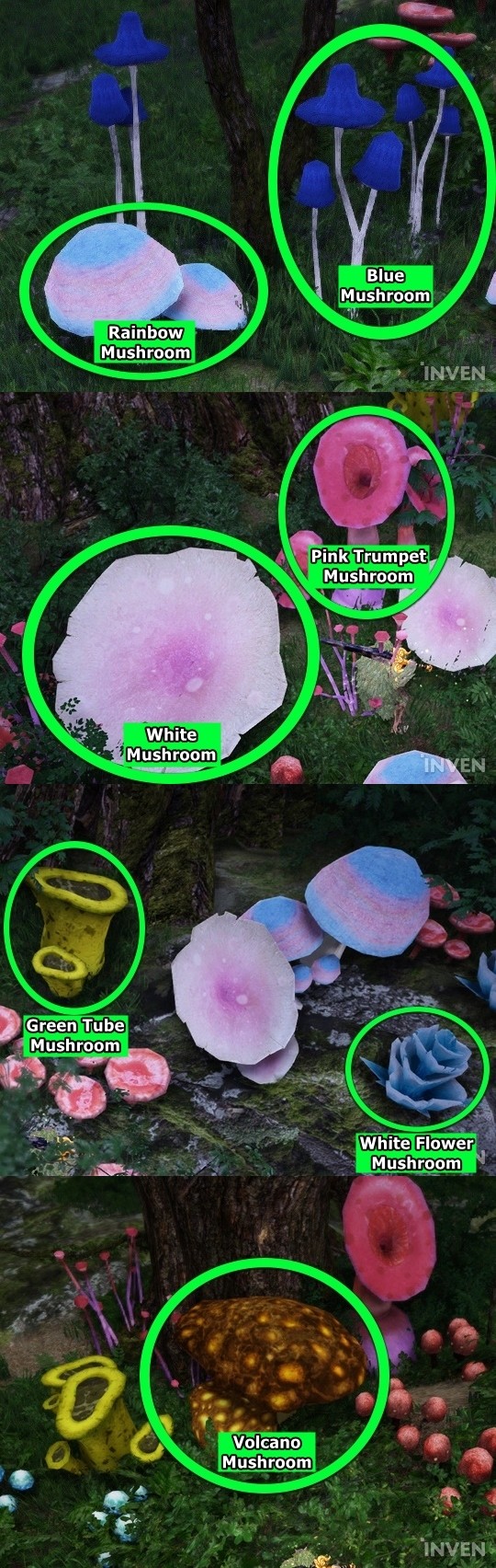 Kamasylvia Part 2 New Elixirs & Food for Better Knowledge, Survival