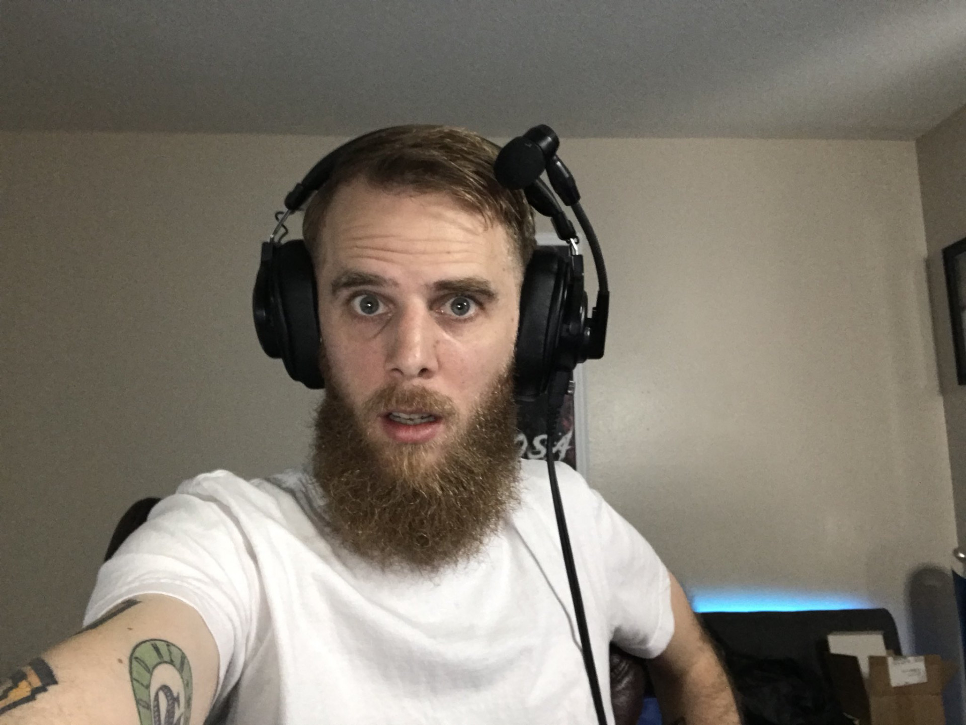 The 7 biggest Twitch streamers that stream chess regularly Inven Global