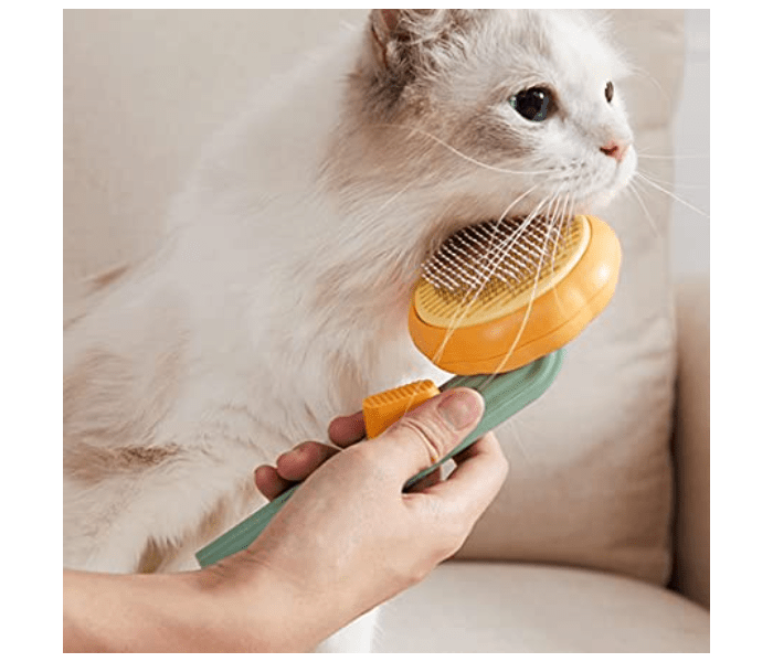 Buy Galaxy Pet Grooming122310 Price in Qatar, Doha