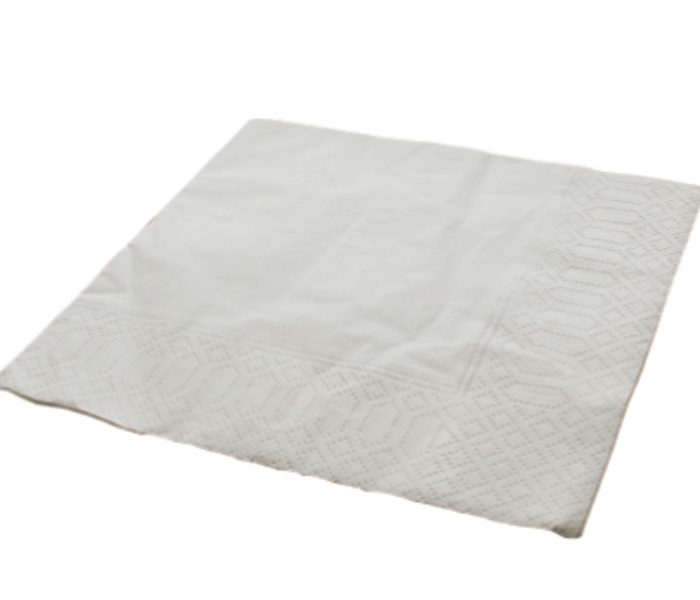 Buy Hotpack NAPKIN4040 Set of 50 125824 Price in Qatar, Doha