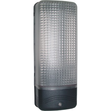 Karwei Buitenlamp Zwart Met Dag/Nacht Sensor Kopen? Wandlampen-Plafondlampen | Karwei