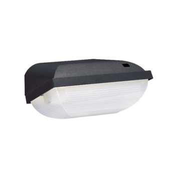 Philips Buitenlamp Zwart Dag/Nacht Sensor Kopen? Wandlampen-Plafondlampen | Karwei