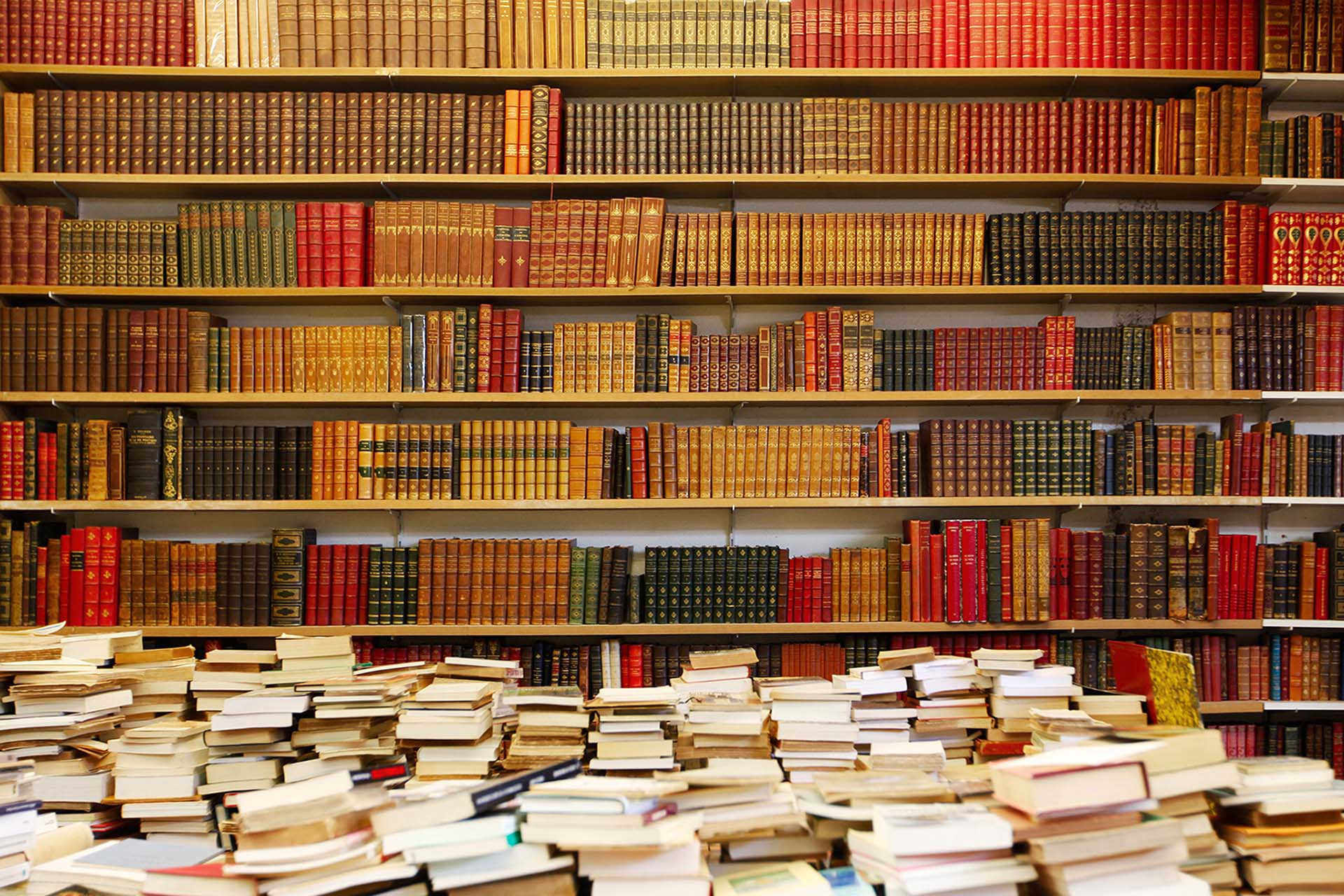 French and Comparative Literature PhD Postgraduate courses