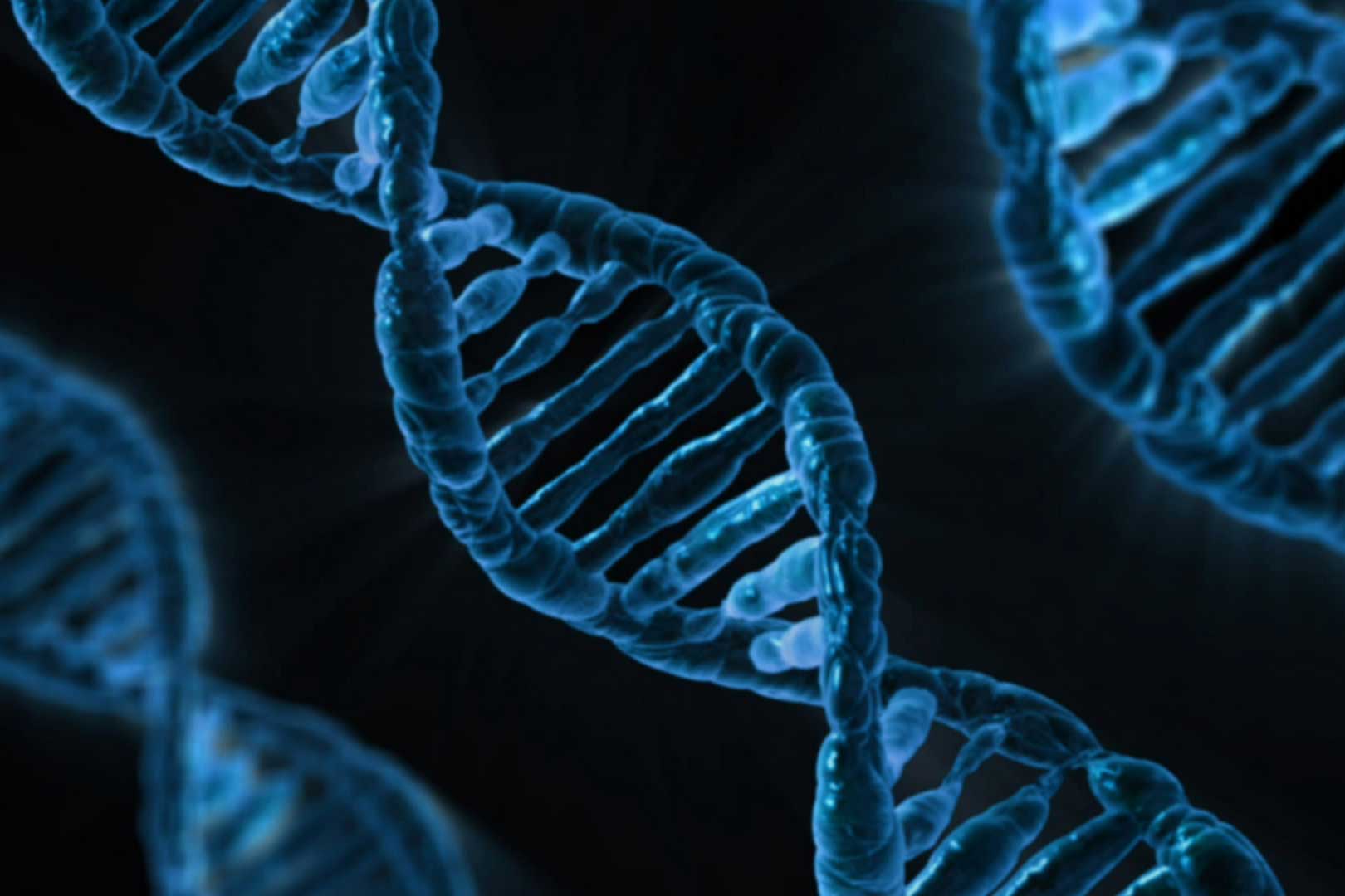 Biomedical Science BSc (Hons) Undergraduate courses