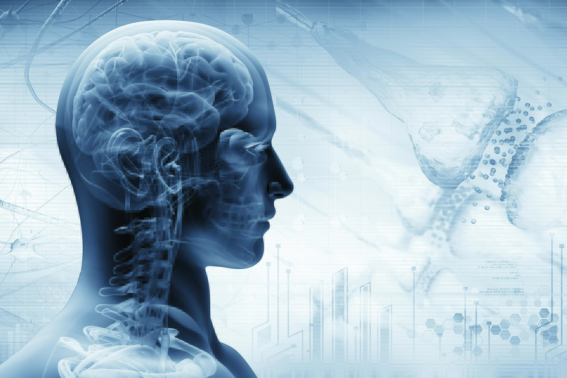 Human Biology and Behaviour with a Year in Professional Practice BSc