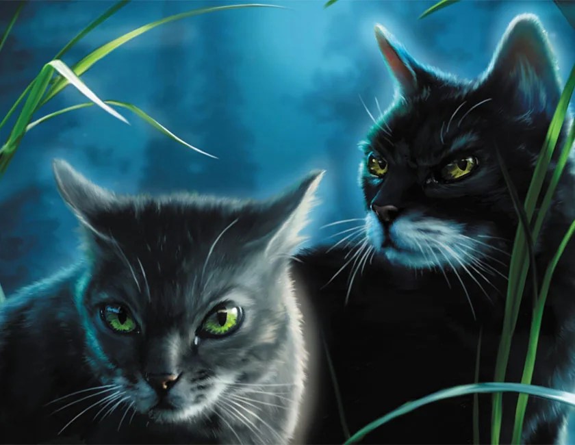 „Warrior Cats“Film schleicht sich ins Kino