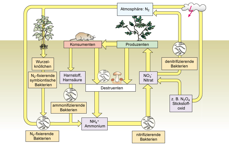 Ernst Klett Verlag GmbH, Stuttgart