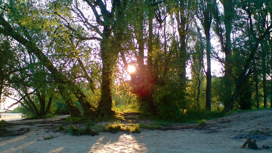 Camping Elbe Camp Hamburg, Camping Hambourg, Hamburg