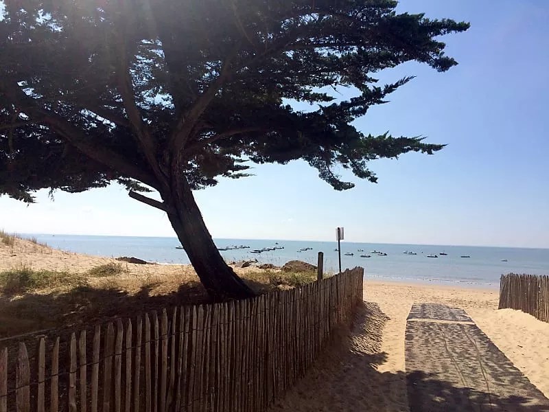 Camping La Grande Vallée La TranchesurMer, Camping Pays de la Loire