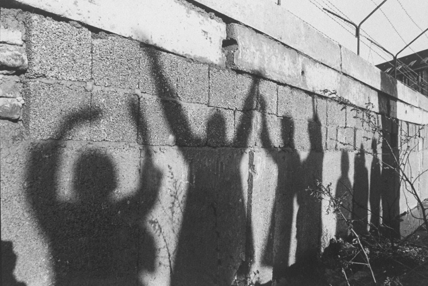 Berlin Wall Photos From the Birth of a Brutal Cold War Symbol