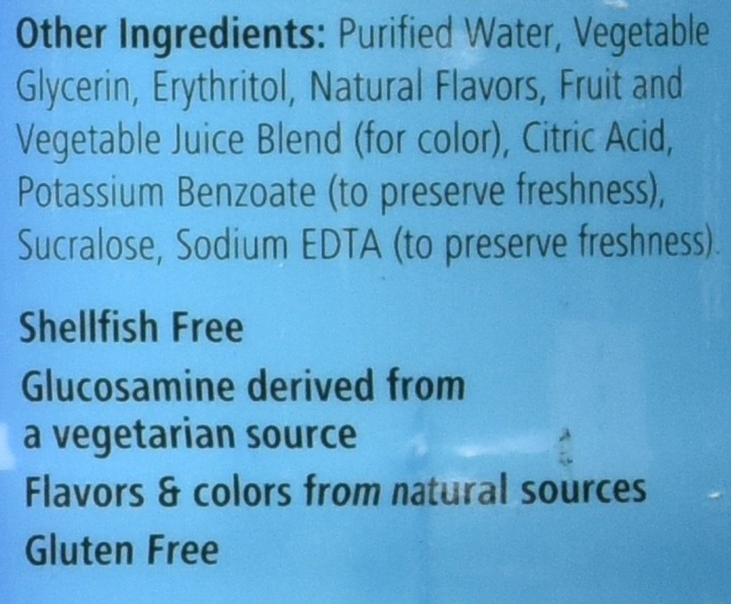 Wellesse Joint Movement Glucosamine With Chondroitin & Msm 33.8 fl oz