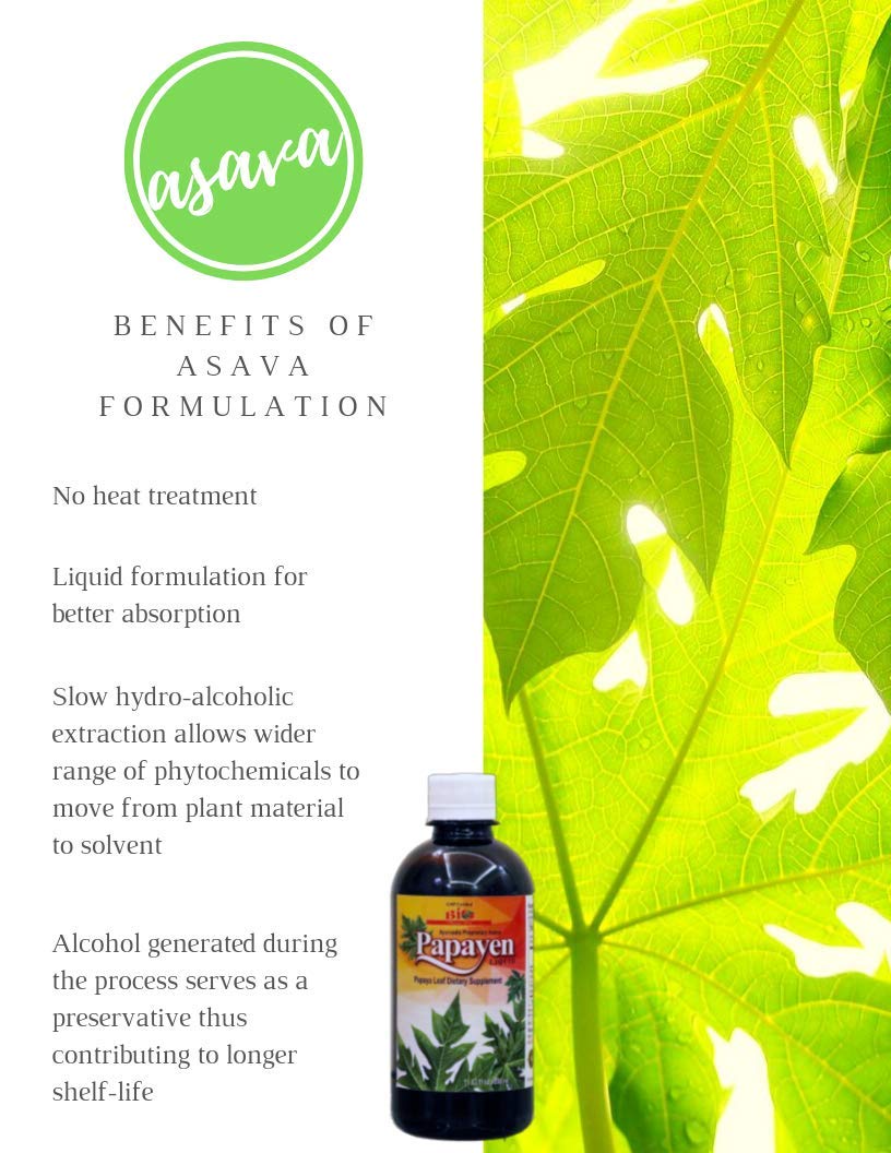 Papayen Liquid, Papaya Leaf Extract, SelfFermented Papaya Leaf Liquid