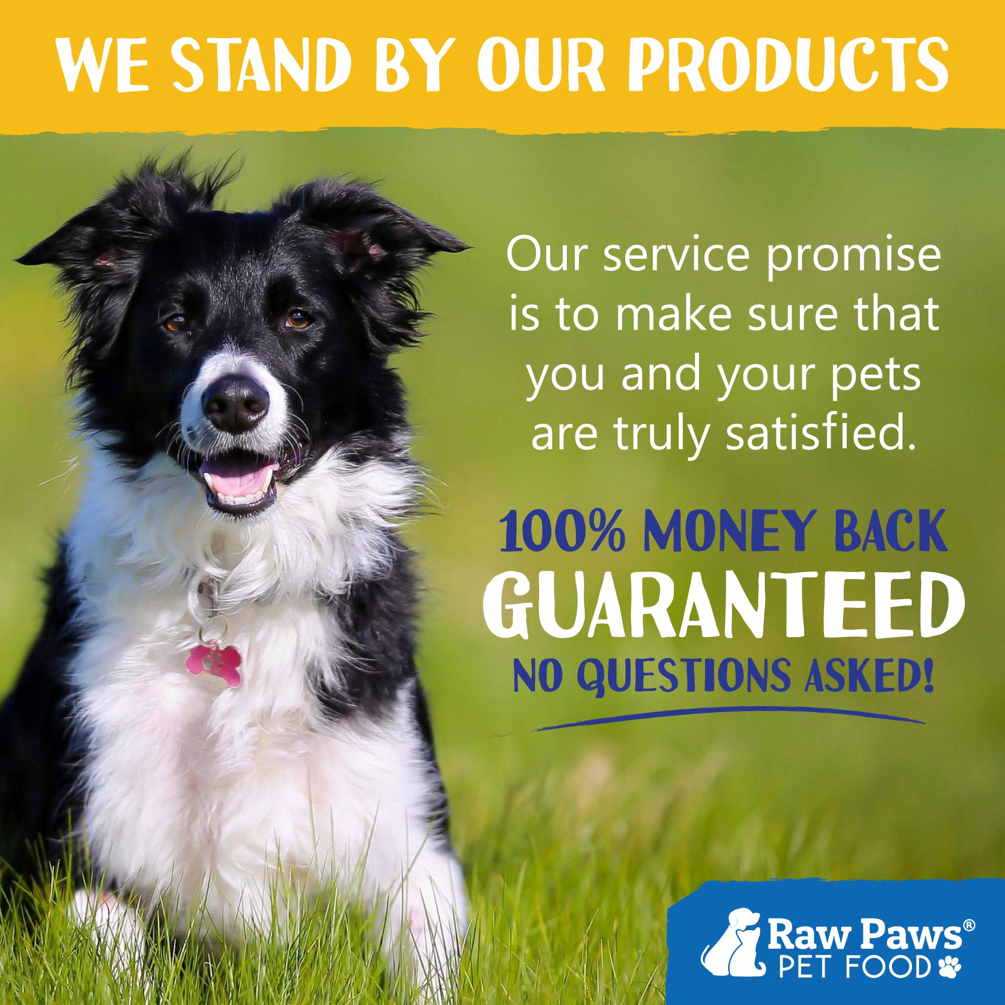 Raw Paws Pet Organic Sea Kelp for Dogs & Cats, 8oz Seaweed Powder