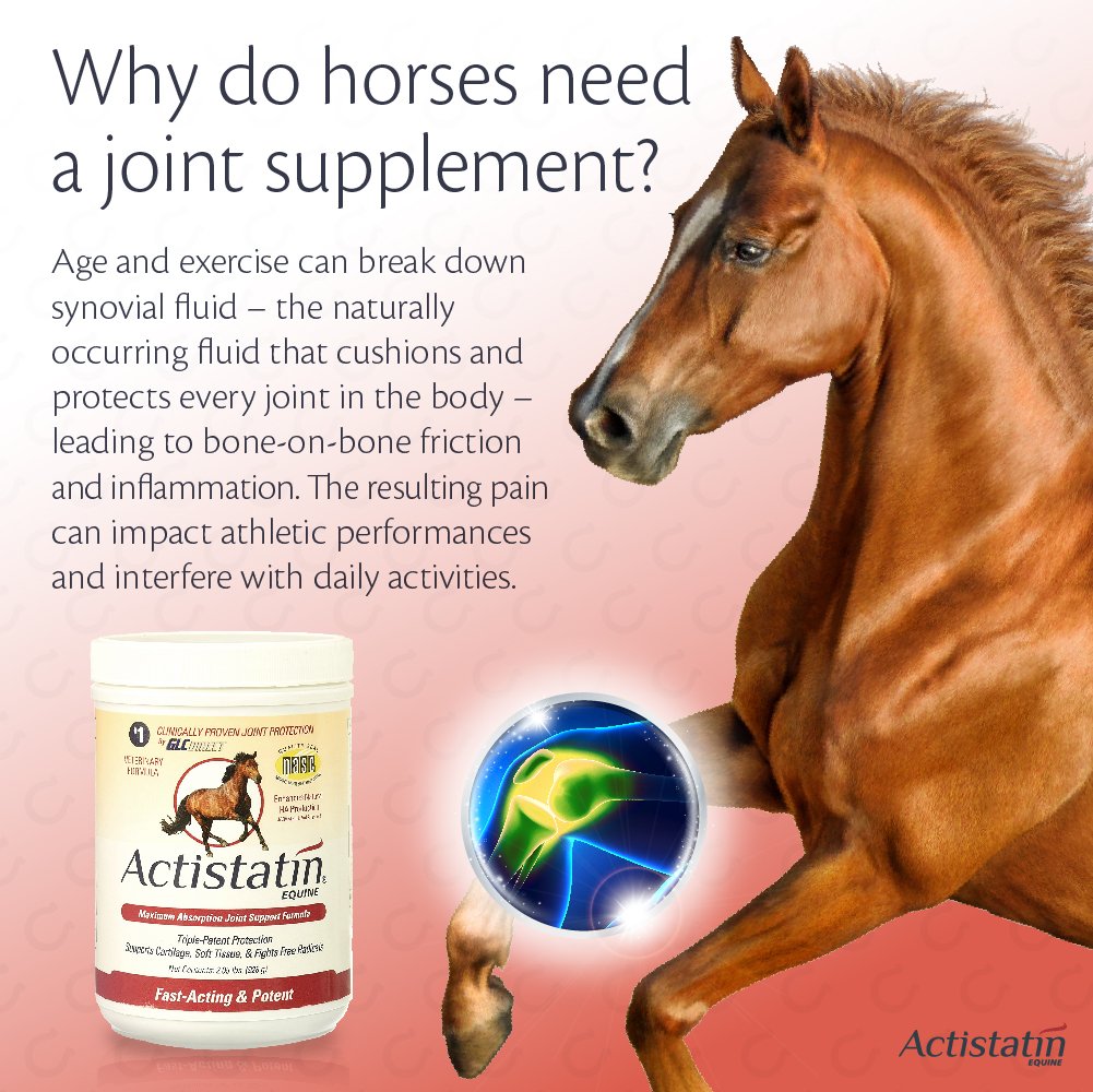 Actistatin Equine Powder, 2.05 lbs ClinicallyProven Veterinary Joint