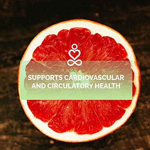 Grapefruit Seed Extract Capsules by Ahana Nutrition GSE Powder Supplement Serves as an