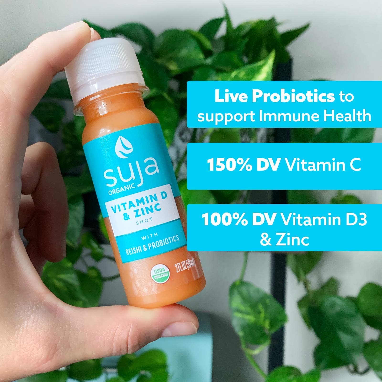 Suja Organic Vitamin D Shot with Zinc (30 Pack) Ginger, Turmeric