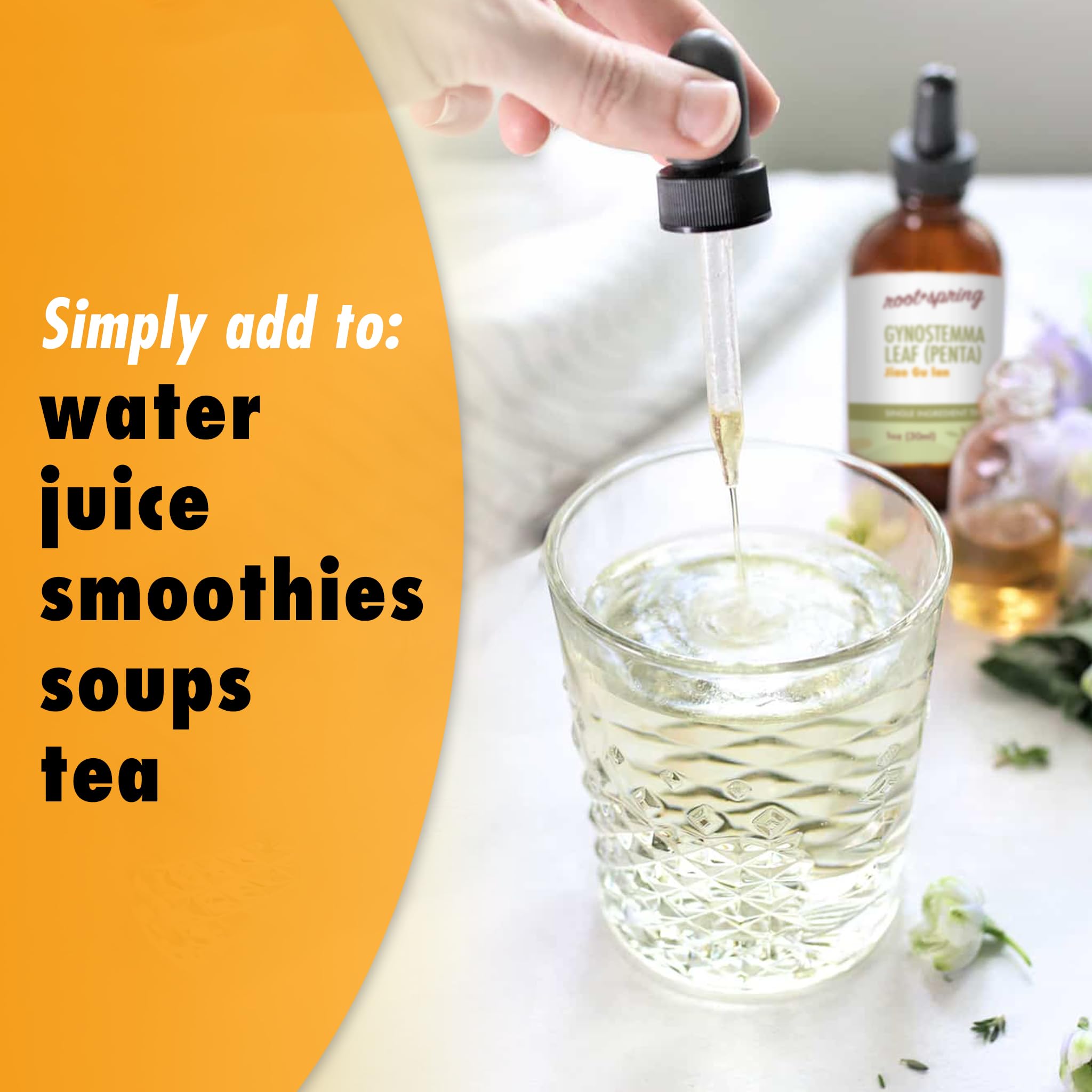 root + spring Gynostemma Pentaphyllum Leaf (Jiao Gu LAN) Herbal