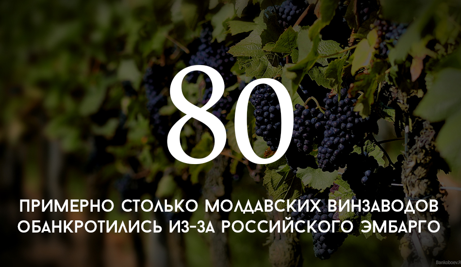 Цифра дня сколько молдавских винзаводов обанкротились изза