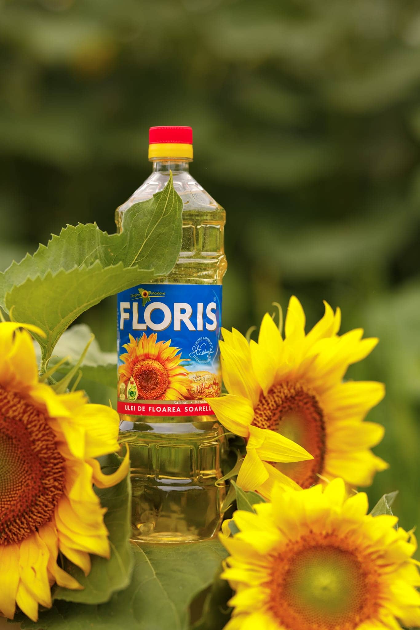 Руководство TransOil Сейчас как никогда важно, чтобы мы и государство