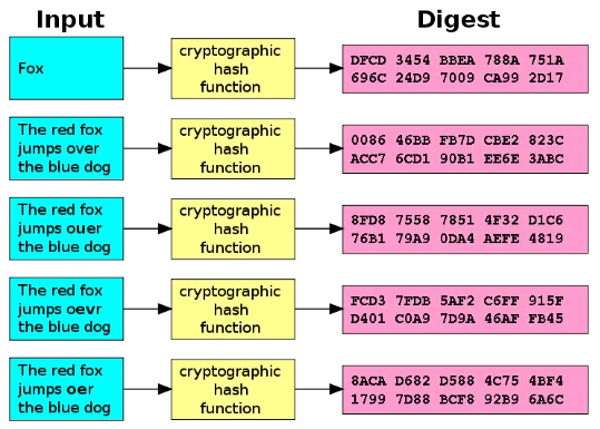 What All This MD5 Hash Stuff Actually Means [Technology Explained]