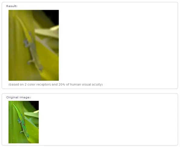 10 Surprising Things You Didn't Know Wolfram Alpha Could Do