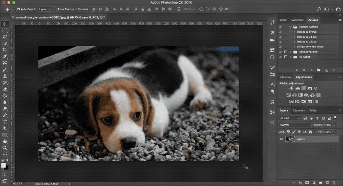 free transform smart object