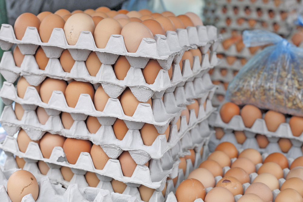 Avian influenza in U.S. poultry squeezes Canadian egg imports