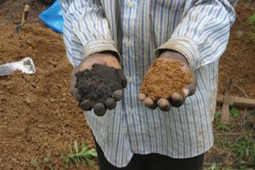 'African dark earths' could combat climate change