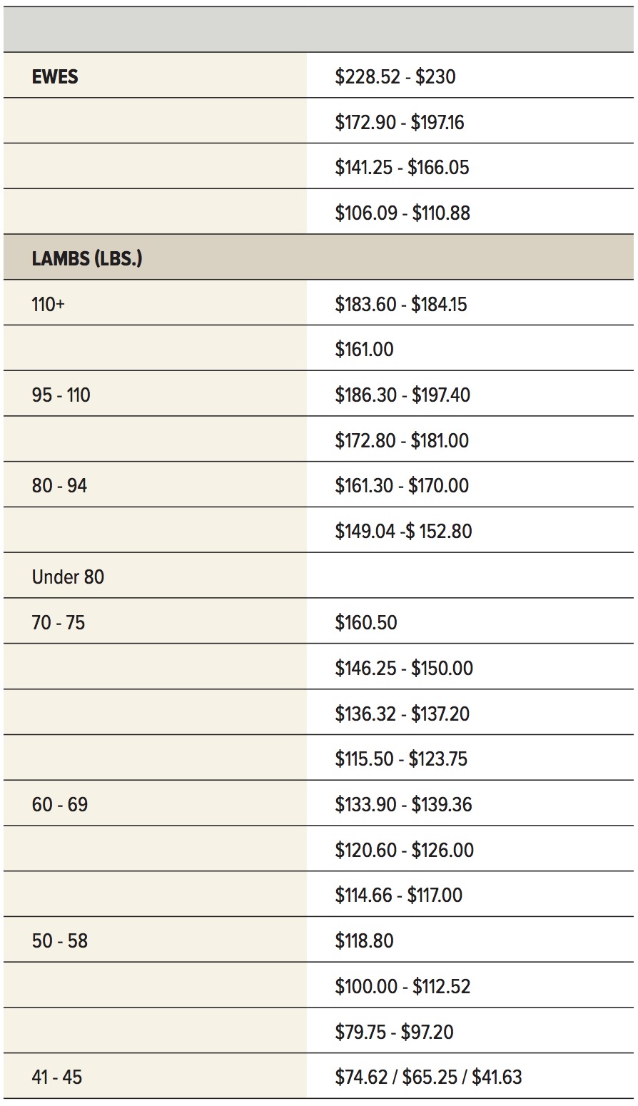 Higher demand seen for feeder lambs at Winnipeg Livestock Auction