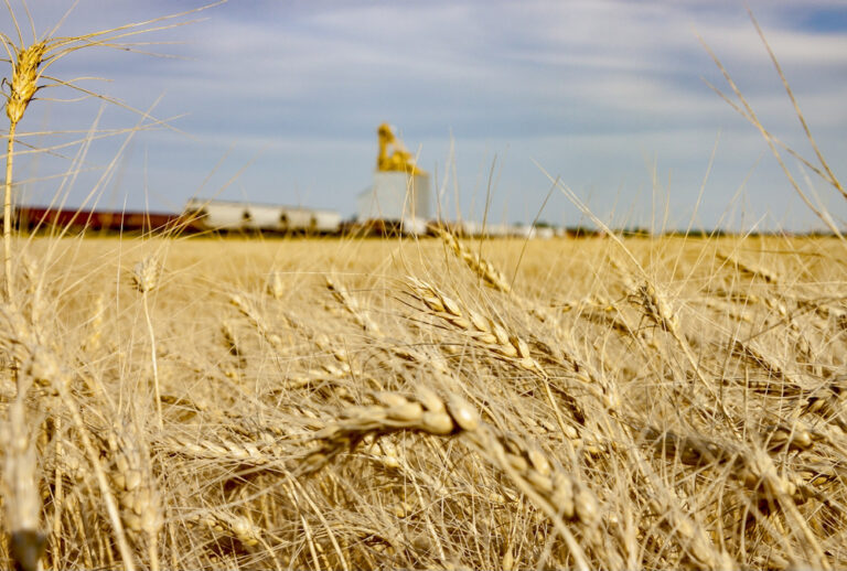 Are grain prices recessionproof? Manitoba Cooperator