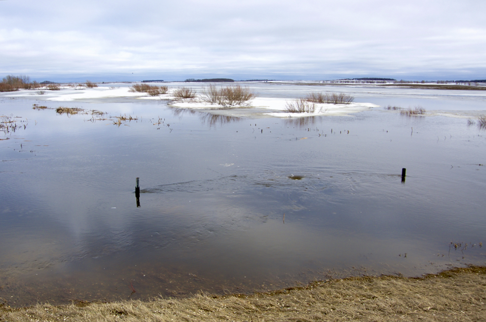 Wet weather washout Manitoba Cooperator