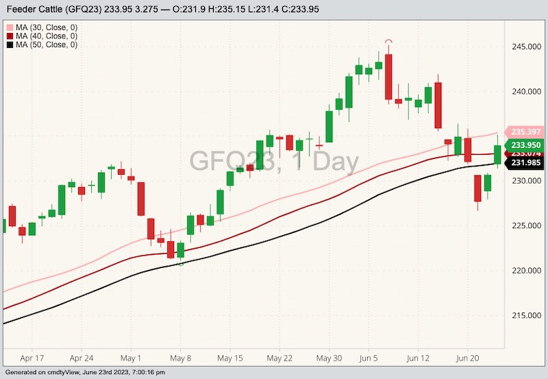 U.S. livestock Feeder cattle rally as corn prices sag Manitoba Co