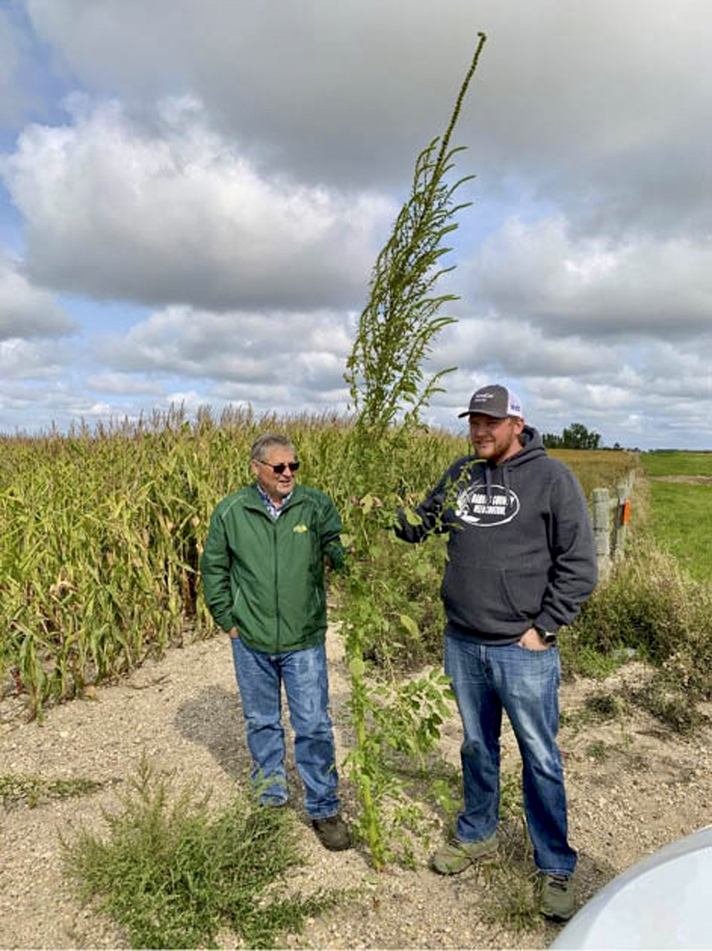 Don’t yield to weed invaders Manitoba Cooperator