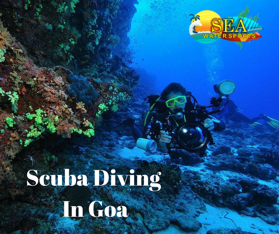 SCUBA DIVING IN GOA Mumbai