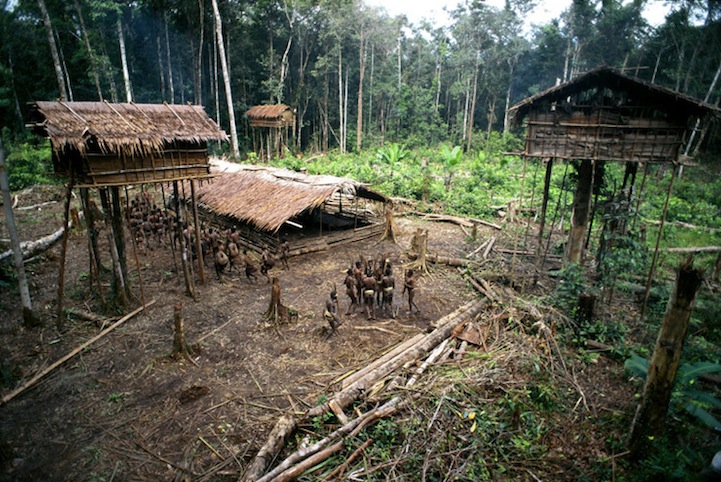 The Lost Treehouse Tribes of the Rainforest