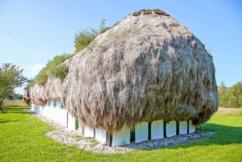 13 Things I Found on the Today (Vol. CCXCVIII)