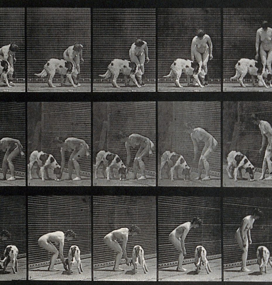 Remember that time the Motion Picture was Invented (and Everyone was