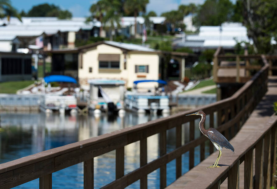 Lakeside Terrace 2 Homes Available 24 Sunrise Lane, Fruitland Park