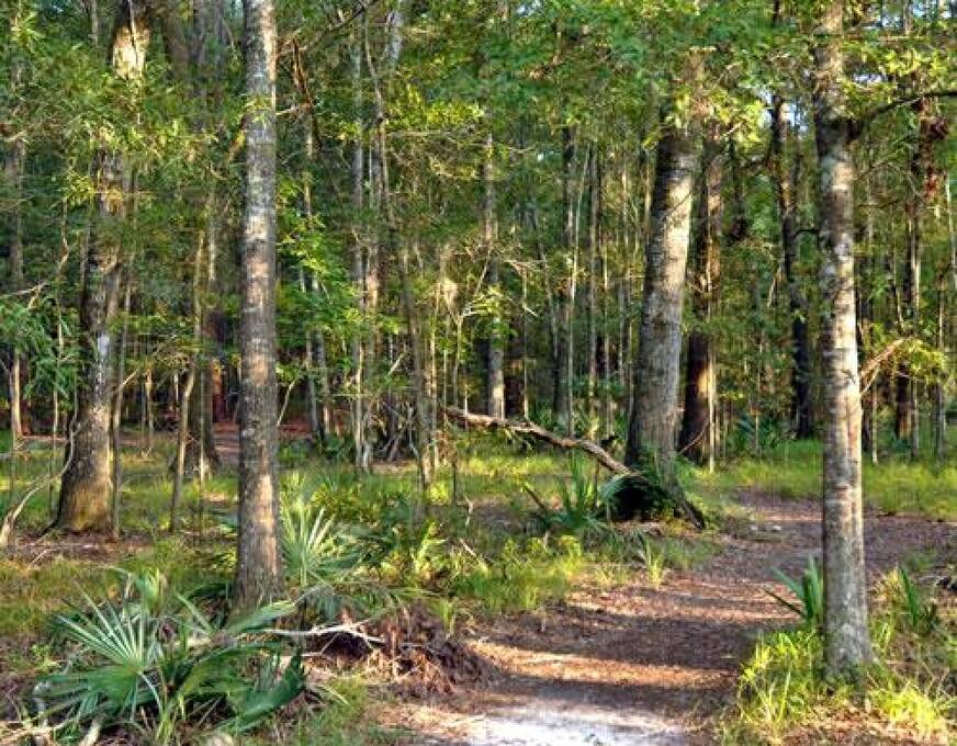 The Oaks at Point South RV Resort 1292 Campground Rd, Yemassee, SC