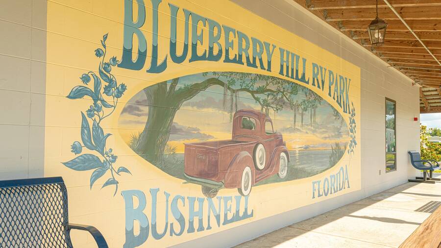 Blueberry Hill 4 Homes Available 6233 Lowery Street, Bushnell, FL