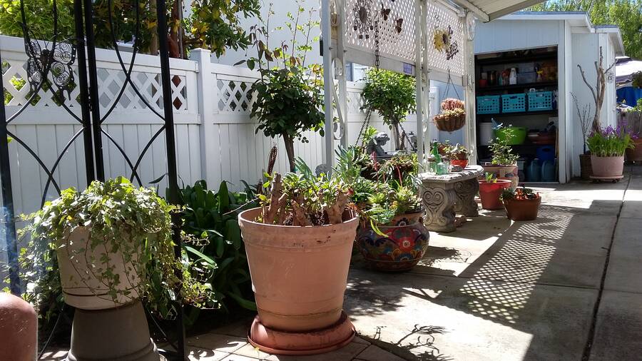 Woodland Estates 850 West Middle Avenue, Hill, CA 95037