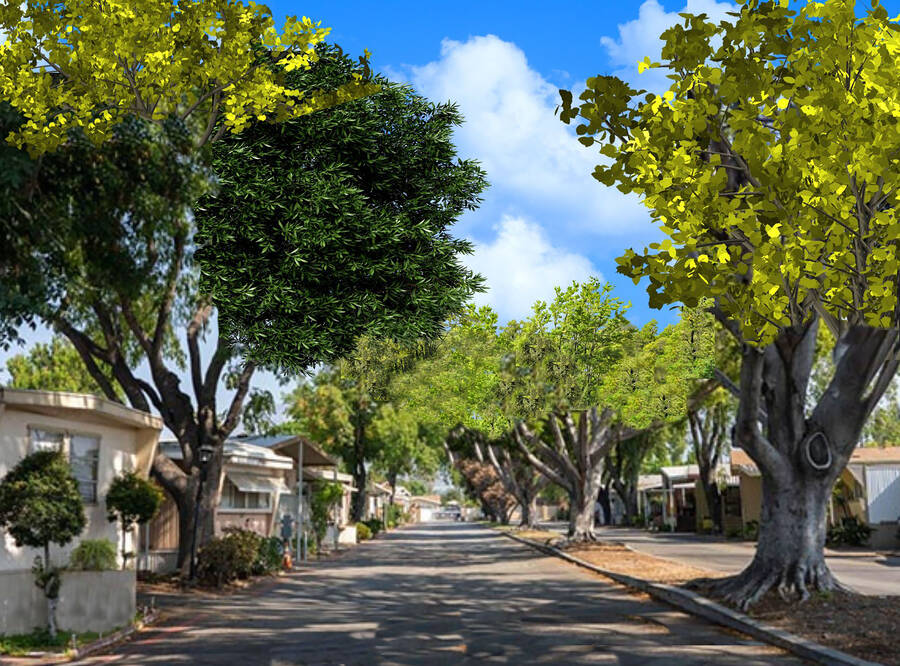 Blue Spruce Community 2208 Kirby Road, Milton, WV 25541