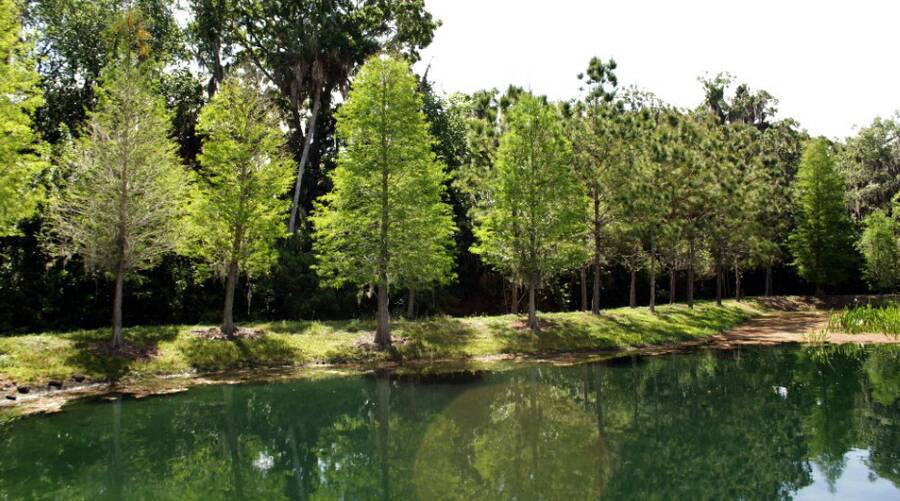 North River Estates MHC 7001 36th St. E., Ellenton, FL 34222