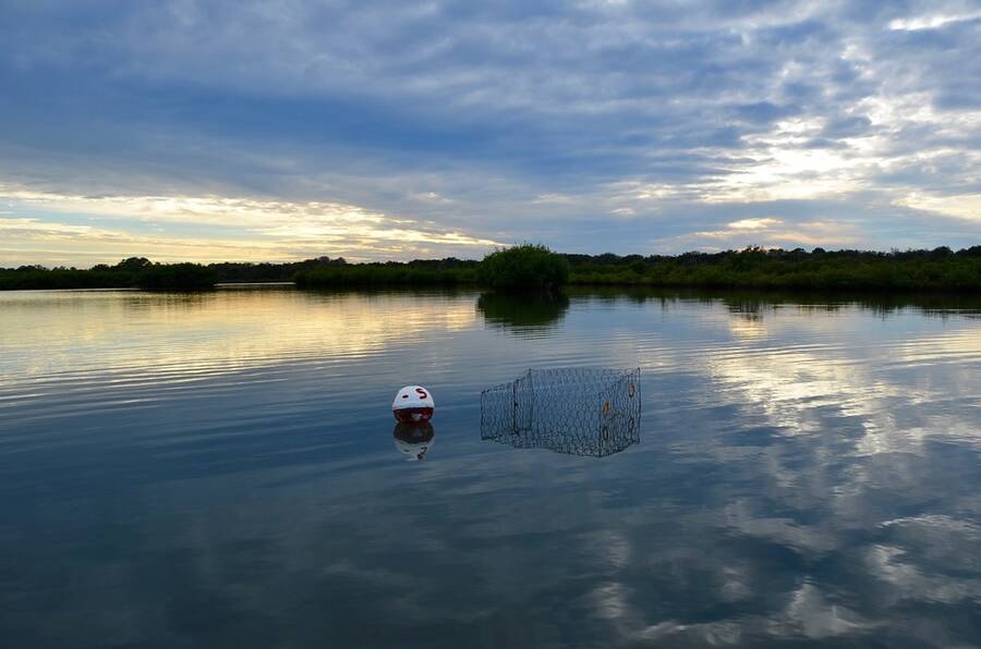 Terra Mar Village 10 Riverpark Blvd, Edgewater, FL 32141