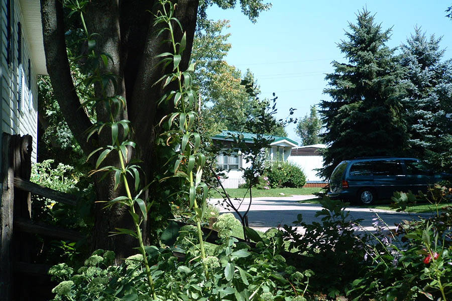 Martin Grove Village 1034 Martin Grove Road, Waterloo, ON N2J 4G8