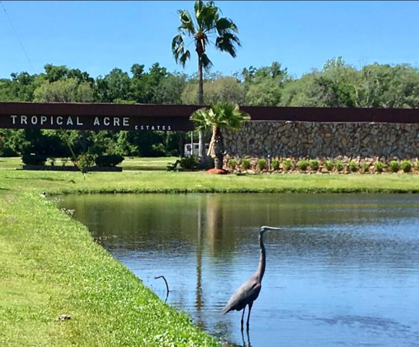 Tropical Acres Estates 3221 Paradise Way, Zephyrhills, FL 33541